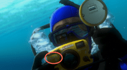 Camera and scuba diver underwater